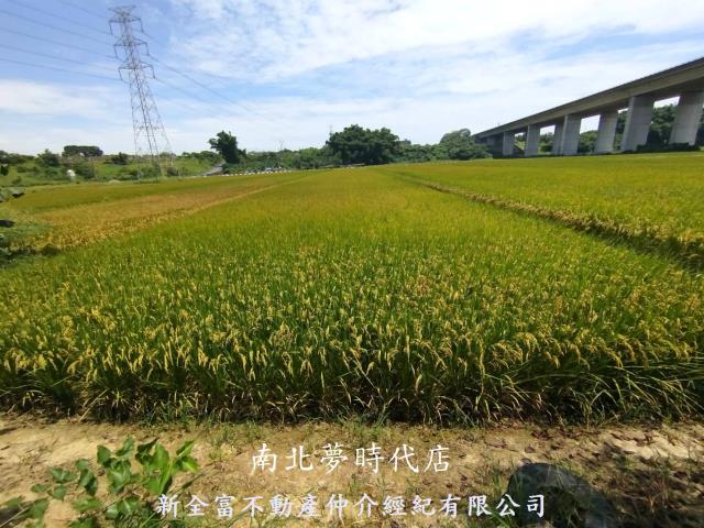 台南農地-13