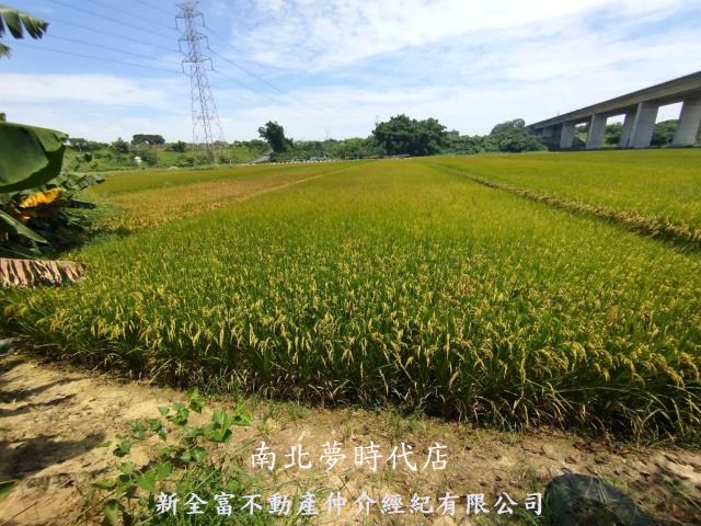 台南農地-14
