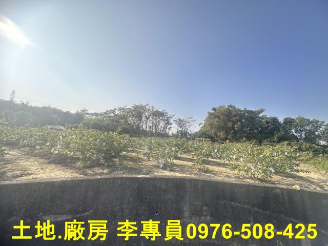 高雄農地-1