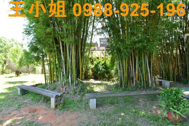 桃園農地-6