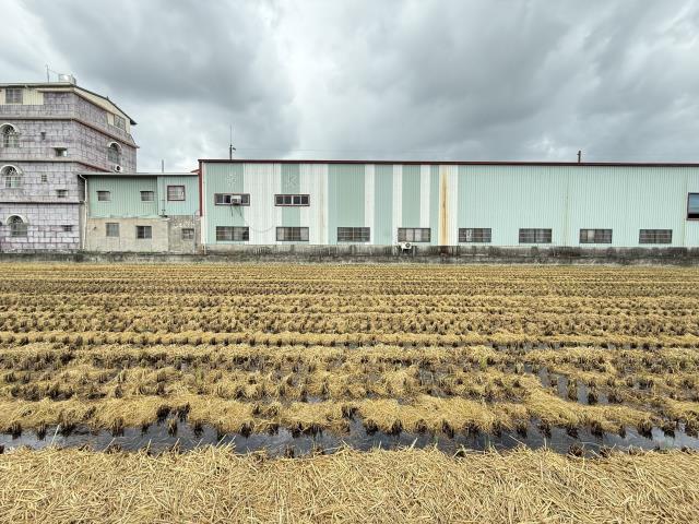 高雄岡山農地-7