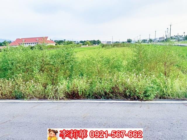 台南白河農地-6
