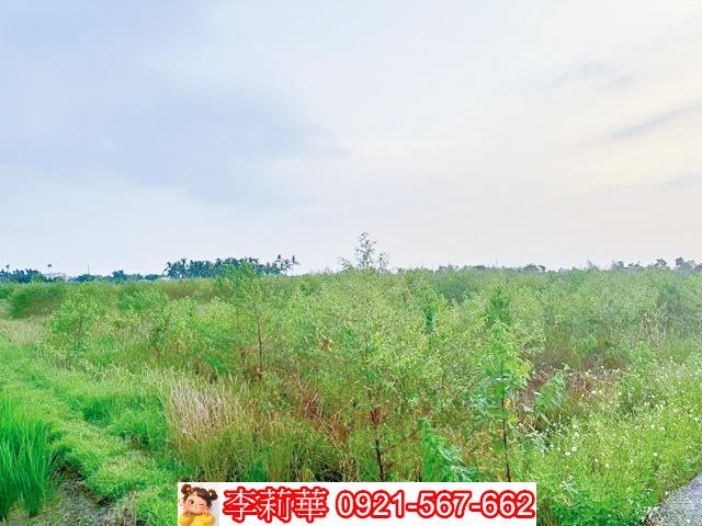 台南白河農地-8