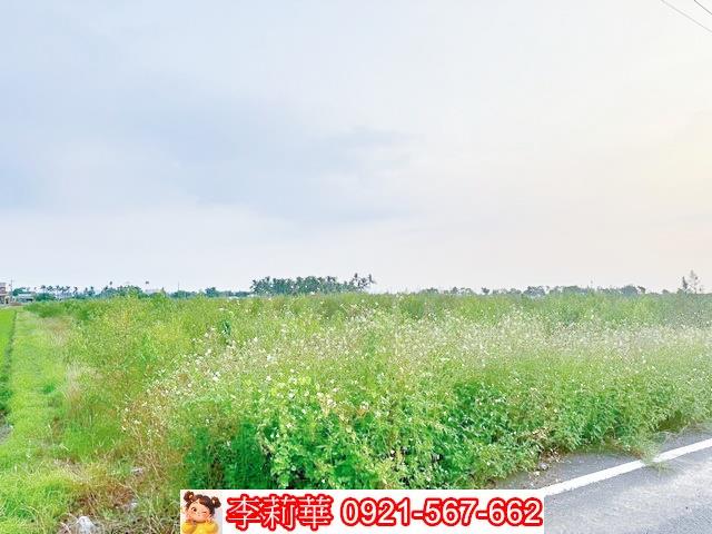 台南白河農地-5