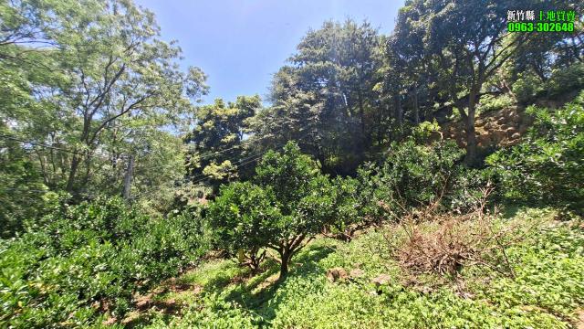 新竹北埔農地-6