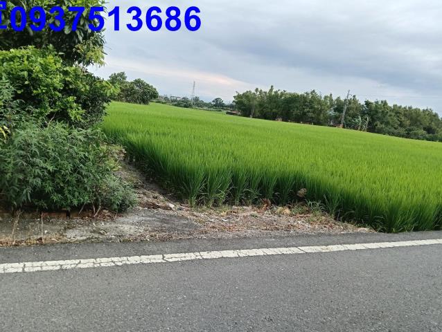 宜蘭頭城農地-1