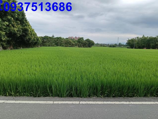 宜蘭頭城農地-2