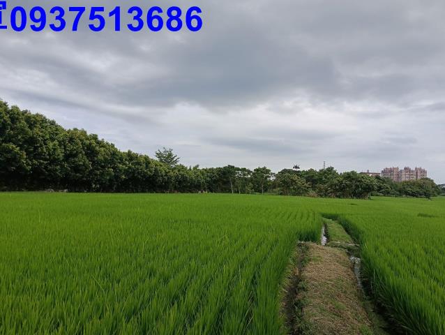 宜蘭頭城農地-8