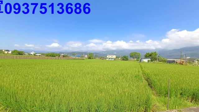 宜蘭礁溪農地-1
