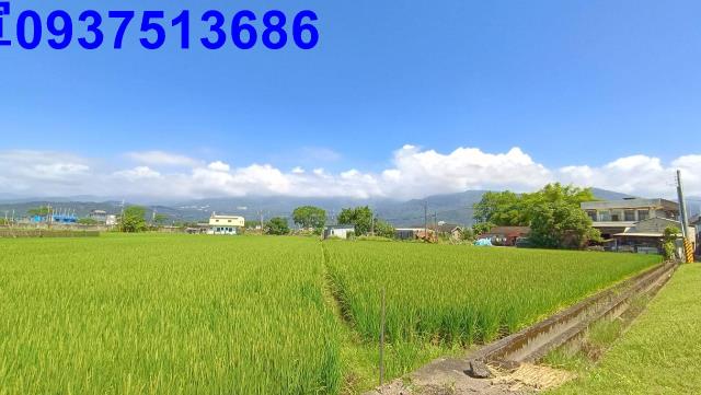宜蘭礁溪農地-2