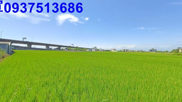 宜蘭礁溪農地-3