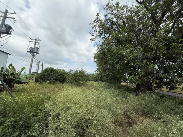 高雄岡山農地-8