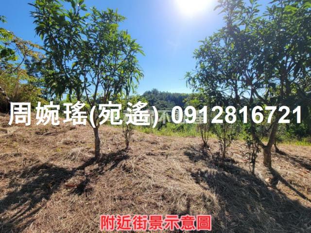 左鎮農地-11
