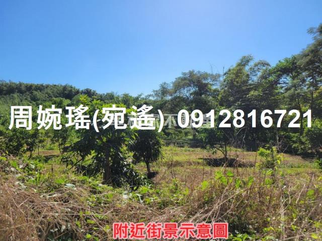 左鎮農地-13