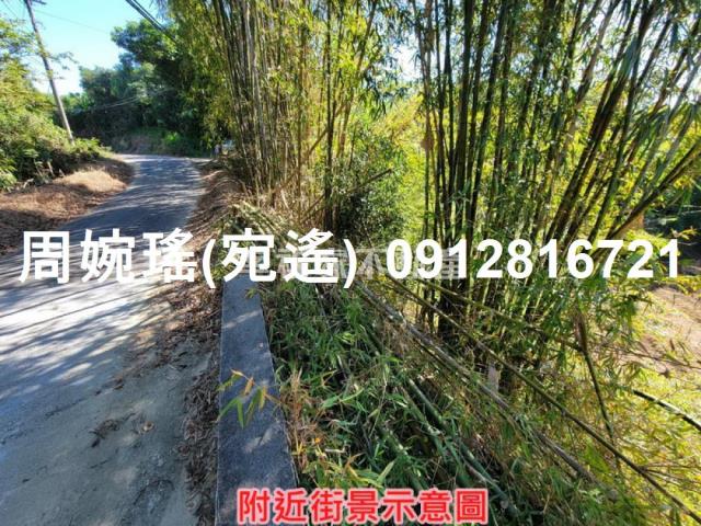 左鎮農地-5