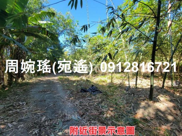 左鎮農地-6