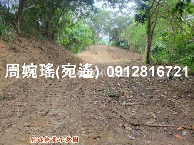 左鎮農地-12