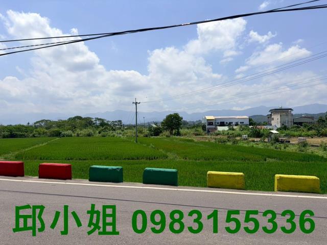 嘉義買房賣房房地合一稅建地農地