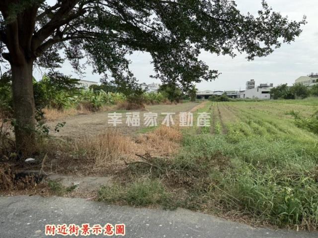 永康農地-12