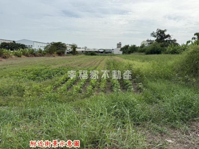 永康農地-7