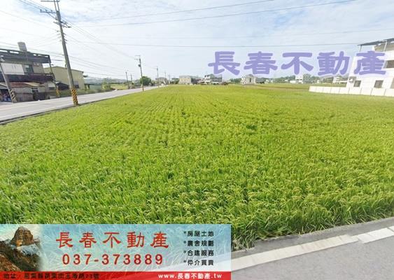苗栗通霄西濱66快速路龍貓公車站農地出售