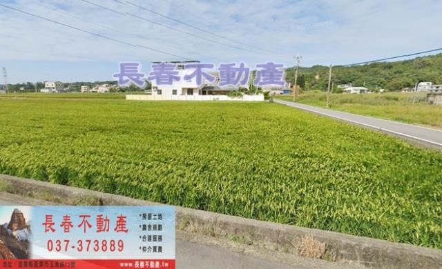 頭屋農地-1