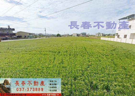 頭屋農地-1