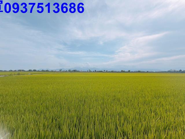 宜蘭壯圍農地-11