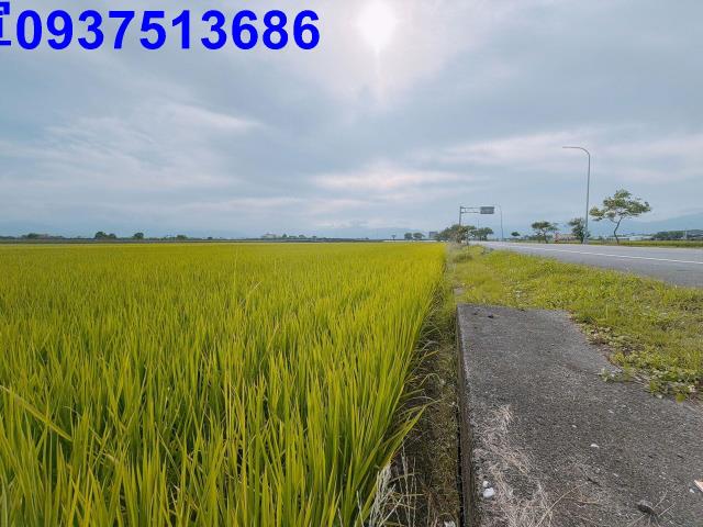 宜蘭壯圍農地-12