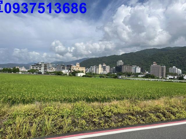 宜蘭礁溪農地-12