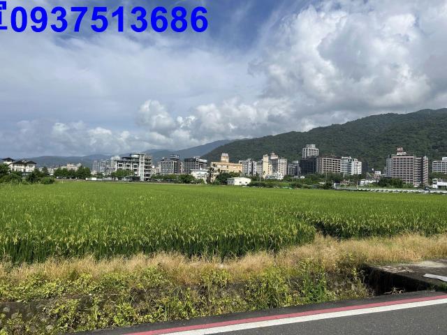 宜蘭礁溪農地-1