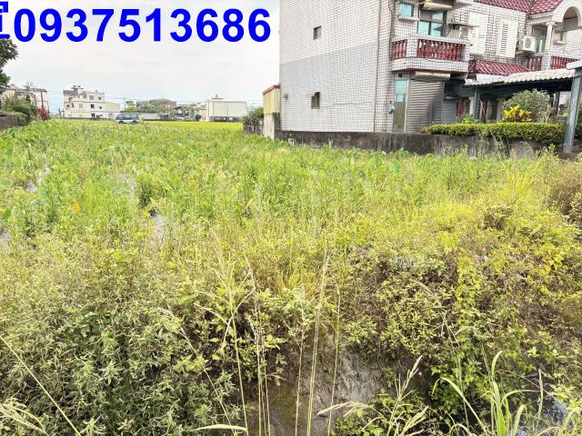 宜蘭壯圍農地-11