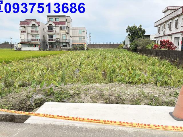 宜蘭壯圍農地-5
