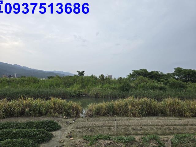 宜蘭頭城農地-2