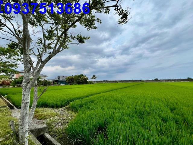 宜蘭壯圍農地-2