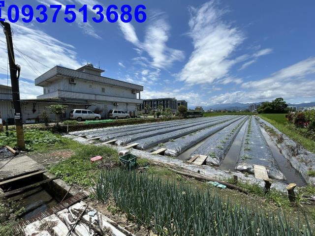 宜蘭宜蘭市農地-1