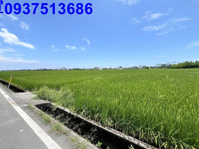 宜蘭壯圍農地-2