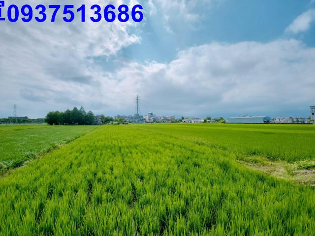 宜蘭宜蘭市農地-9