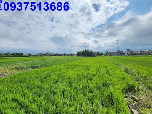 宜蘭宜蘭市農地-13
