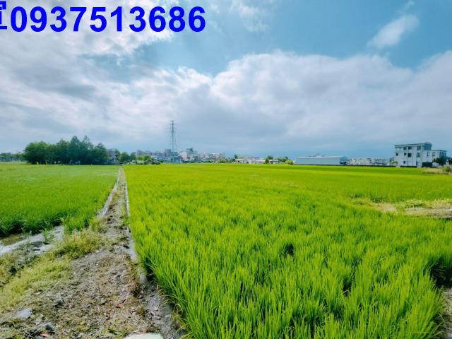 宜蘭宜蘭市農地-14