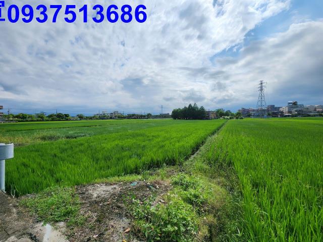 宜蘭宜蘭市農地-4