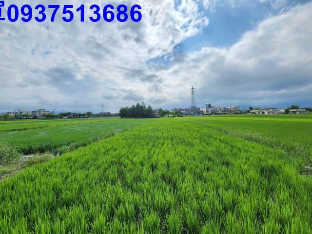 宜蘭宜蘭市農地-6