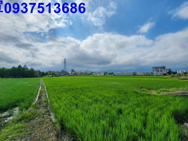 宜蘭宜蘭市農地-7