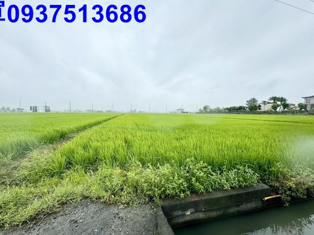 宜蘭壯圍農地-1