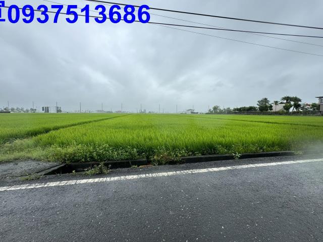 宜蘭壯圍農地-3