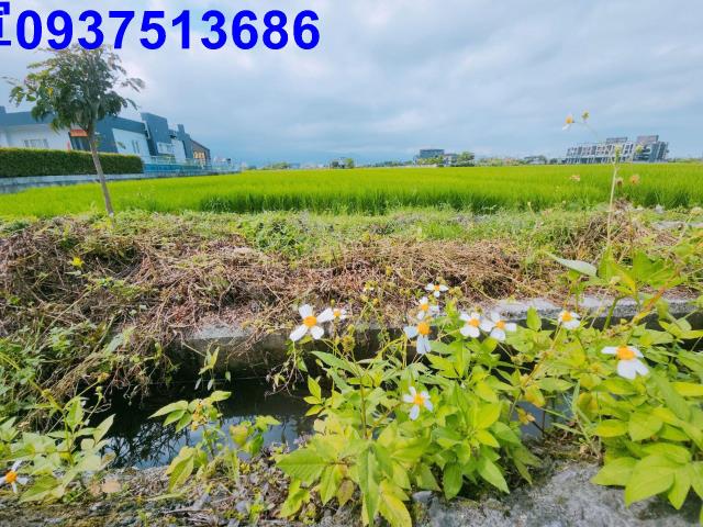 宜蘭宜蘭市農地-4