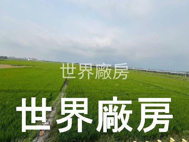屏東東港農地-0