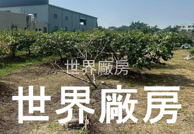 阿里山公路