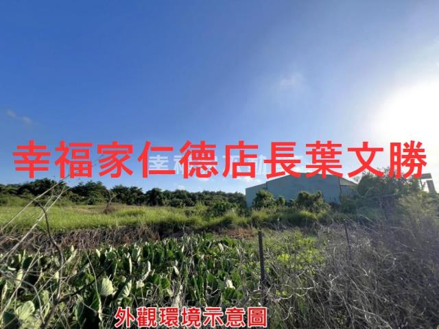 仁德農地-12
