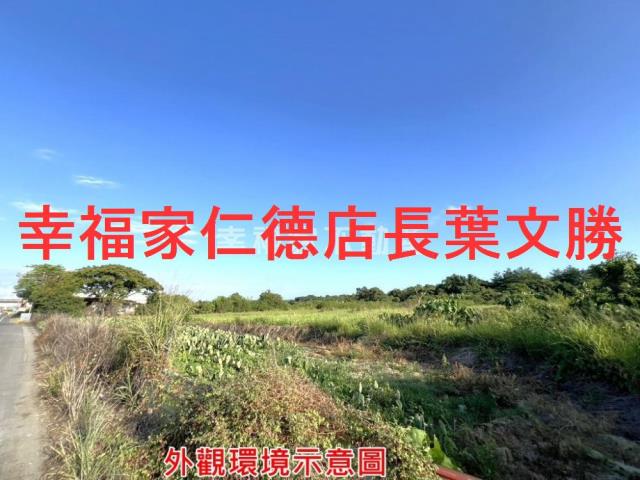 仁德農地-5